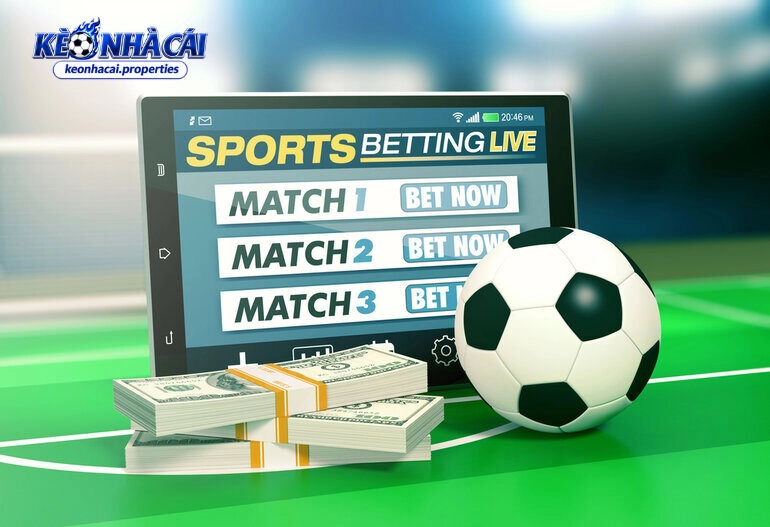 8Live: Cá Cược Thể Thao Và Giải Trí Trực Tuyến 3 Khuyến mại và chính sách của 8Live luôn là điểm hấp dẫn người dùng