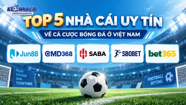 Danh mục top nhà cái - Mang tới tầm nhìn tổng quan cho người dùng